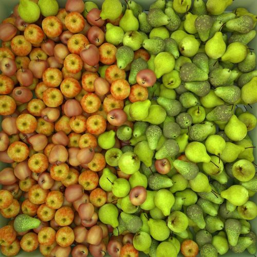 Obuoliai, Kriaušės, Vaisiai, 3D