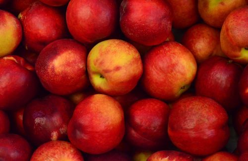 Obuoliai, Iš Arti, Maistas, Vaisiai