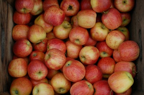 Obuoliai, Dėžė, Vaisių Sodas, Vaisiai