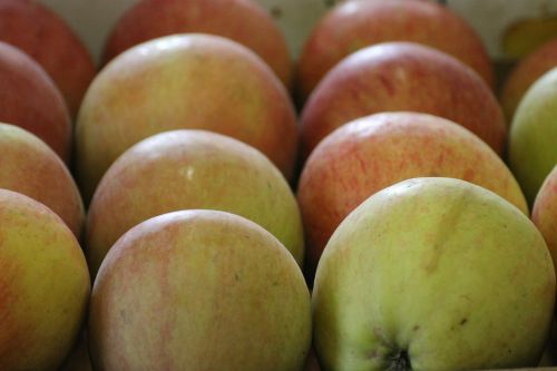 Obuoliai, Vaisiai, Maisto Produktai