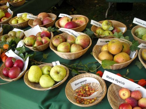 Obuoliai, Vaisiai, Vaisiai, Obuolių Veislės, Pomologija, Vaisių Pripažinimą, Maistas, Sveikas, Turgus