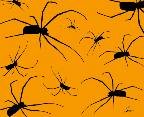 Arachnid, Baimė, Halloween, Fobija, Baugus, Vorai, Nemokama Vektorinė Grafika