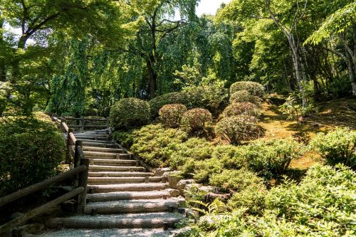Arashiyama, Japonijos Laiptai, Kelio Parkas, Kyoto, Žalias, Gamta, Asija, Lauke, Kelionė, Kraštovaizdis, Ramus, Taikus, Japanese, Miškas