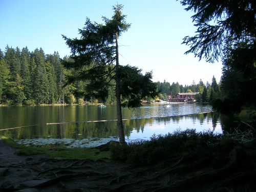 Arbersee, Gamta, Poilsis, Kraštovaizdis, Bergsee, Ežeras