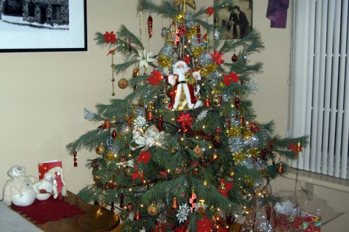 Kalėdos,  Medis,  Pušis,  Kalėdų Eglutė (3)