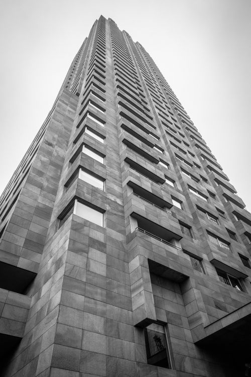 Architektūra, Rotterdam, Dangoraižiai