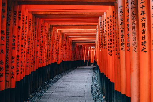 Architektūra, Japonija, Kyoto, Kelias, Shinto, Šventykla, Turistų Atrakcijos