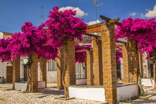 Architektūra, Gėlės, Spalvos, Portugal