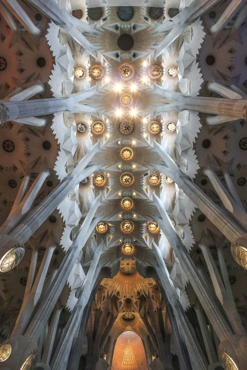 Architektūra, Bažnyčia, Kelionė, Katedra, Religija, Orientyras, Kultūra, Viduje, Istorinis, Menas, Lubos, Sagrada Familia, Barcelona