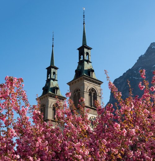 Architektūra,  Bažnyčia,  Bokštas,  Religija,  Miestas,  Mangnolie,  Gėlės,  Glarus