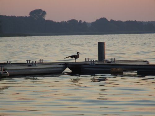 Arendsee, Aušra, Saulėtekis, Vandens Paukštis, Morgenstimmung, Kraštovaizdis