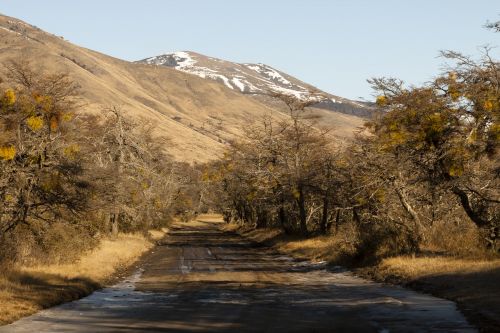 Argentina, Patagonia, Kalafatas