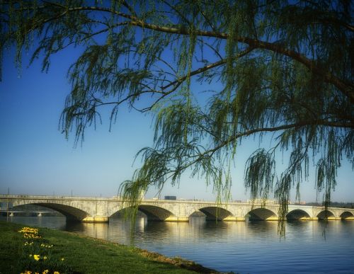 Arlingtono Memorialinis Tiltas, Vašingtonas, Potomac Upė, Architektūra, Medžiai, Krantas, Kranto Linija, Orientyras, Istorinis