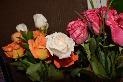 Išdėstymas,  Puokštė,  Gėlė,  Rožės,  Susitarimas Puokštė Gėlių Rožių