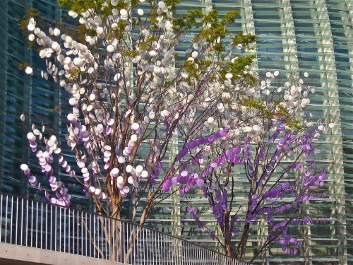 Menas, Tokyo, Monetų Medis, Rožinis