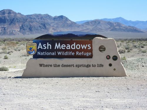 Pelenų Pievos, Desertas, Laukinė Gamta, Las Vegasas, Nevada, Usa