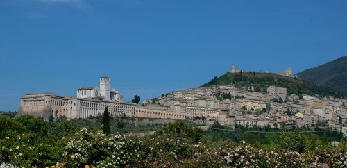 Assisi, Spustelėkite, 2016 M. 