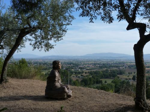 Assisi, Italy, Statula, Alyvmedis, Kraštovaizdis, Vaizdas