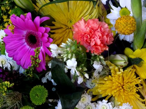 Gėlė,  Gėlės,  Flora,  Puokštės,  Puokštė,  Valentine,  Valentines,  Asorti Spalvingos Gėlės