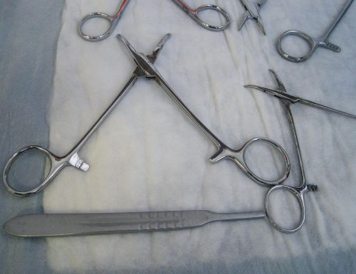 Instrumentai,  Medicinos,  Nerūdijantis & Nbsp,  Plienas,  Žnyplės,  Gnybtai,  Asorti Chirurginiai Instrumentai