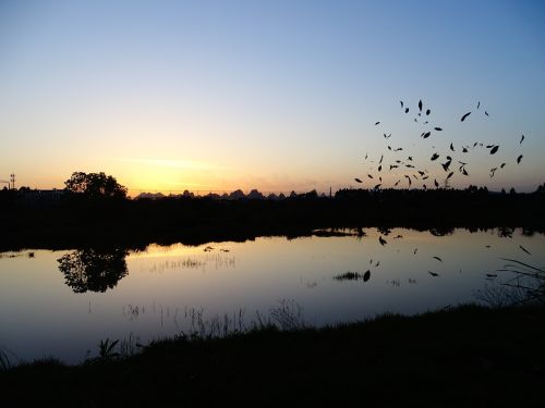 Žiemą, Siluetas, Dangus