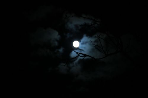 Naktį, Mėnulis, Pilnatis, Tamsi, Debesis, Mėnulio Šviesa