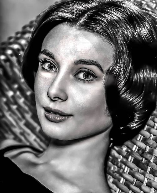 Audrey Hepburn-Hollywood, Filmas, Aktorė