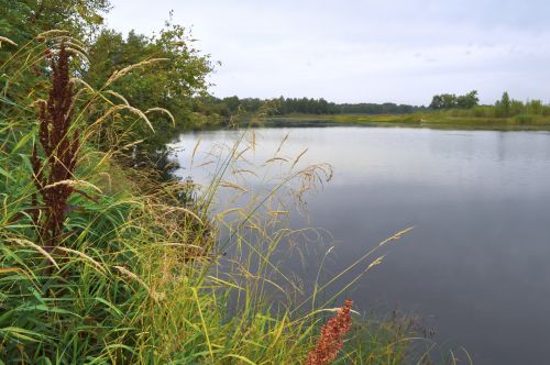 Gamta,  Kraštovaizdis,  Upė,  Vanduo,  Augalai,  Rugpjūčio 5 D