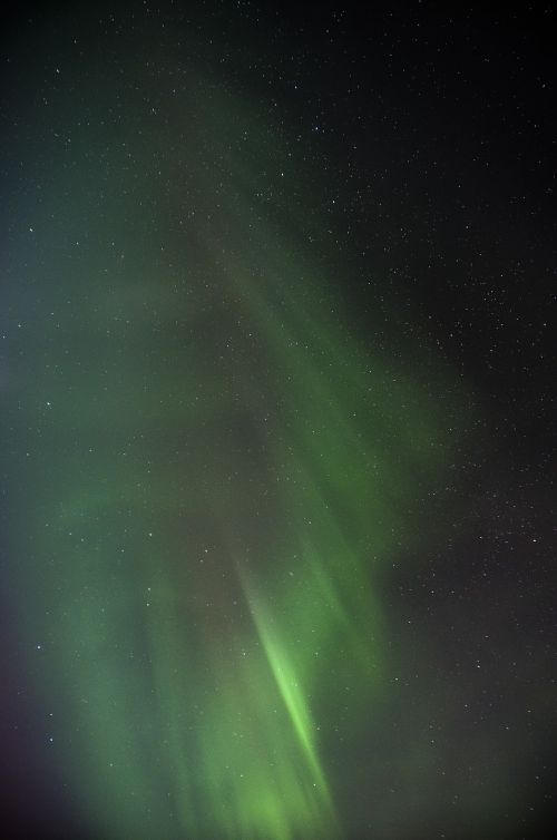 Aurora, Šiaurės Pašvaistė, Aurora Borealis, Borealis, Šiaurinis, Žalias, Reiškinys, Norvegija