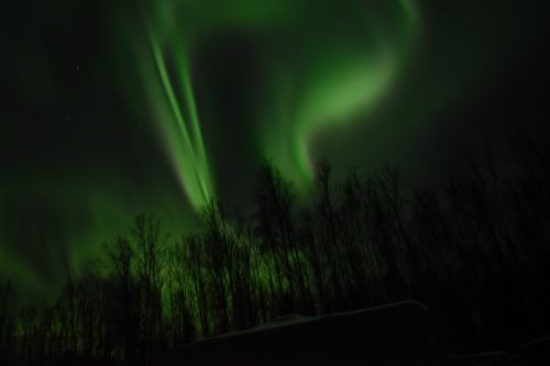 Aurora, Šiaurės Pašvaistė, Naktis