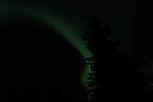 Aurora, Šiaurės Pašvaistė, Alaska