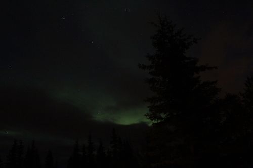 Aurora, Šiaurės Pašvaistė, Alaska