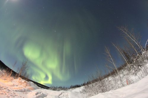 Aurora, Šiaurės Pašvaistė, Borealis, Naktis, Gamta, Žalias, Kraštovaizdis, Alaska, Sniegas, Horizontas