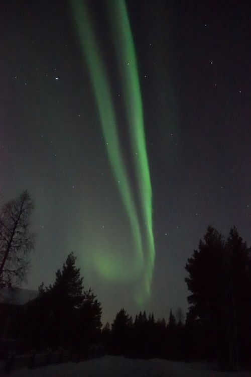 Aurora Borealis, Laplandas, Šiaurės Žiburiai, Gamta, Arktikoje, Ylläs, Finland