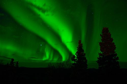Aurora Borealis,  Šiaurės Pašvaistė,  Žalias,  Jukonas