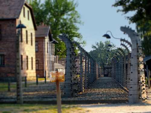 Auschwitz - Birkenau, Koncentracijos Stovykla, Kalėjimas, Tinklelis, Spygliuota Tvora