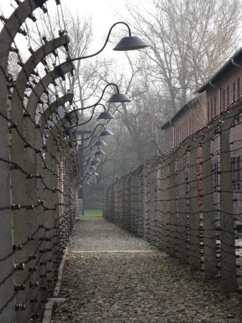 Auschwitz, Istorija, Muziejus, Koncentracijos Stovykla