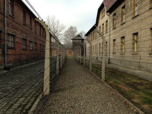 Auschwitz, Istorija, Koncentracijos Stovykla, Muziejus