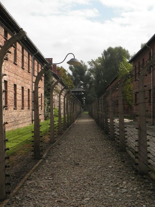Auschwitz, Spygliuota Viela, Atskyrimas