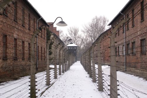 Auschwitz, Kz, Lenkija, Naciai