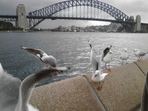 Australia, Fonas, Sidnėjus
