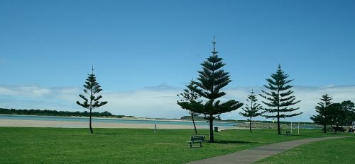 Australia, Ežeras Illawarra, Pieva, Gamta, Kraštovaizdis