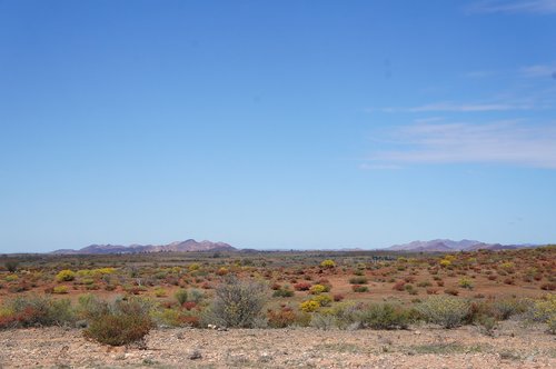 Australijos Dykumų,  Outback Australija,  Kraštovaizdis,  Dykuma,  Outback,  Vaizdingas
