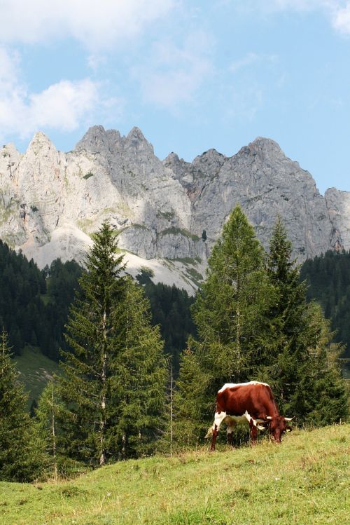 Austria, Alpės, Kalnas, Kalnai, Alpių Peizažas, Gamta, Ekskursija, Naršyti