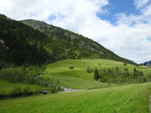 Austria, Kalnai, Pieva, Miškas, Gamta, Kraštovaizdis, Salzburg