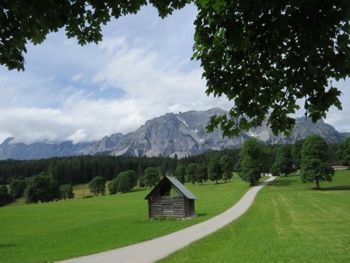 Austria, Kalnai, Kraštovaizdis, Šventė, Vaizdas, Vasara, Pieva, Gamta, Medžiai, Ramsau Am Dachstein, Žolė