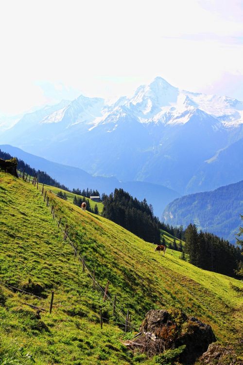 Austria,  Kalnai,  Alpių,  Gamta,  Tyrol,  Pieva,  Kraštovaizdis,  Kalnų Žygiai,  Alm,  Sniegas