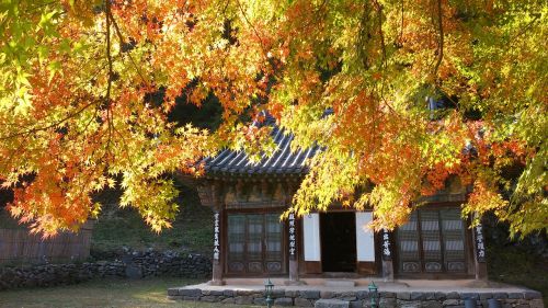 Ruduo, Magoksa, Gamta, Tradicinė Architektūra, Korėja