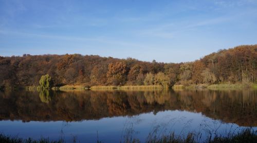 Ruduo, Dangus, Miškas, Mėlynas Dangus, Gamta, Kraštovaizdis, Rudens Lapai, Rudens Miškas, Ukraina