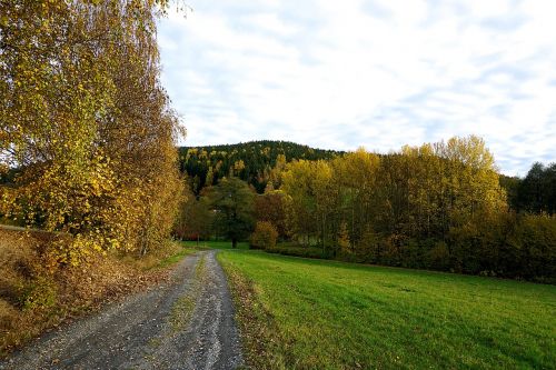 Ruduo, Lapai, Kritimo Spalva, Gamta